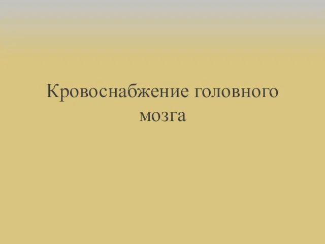 Кровоснабжение головного мозга