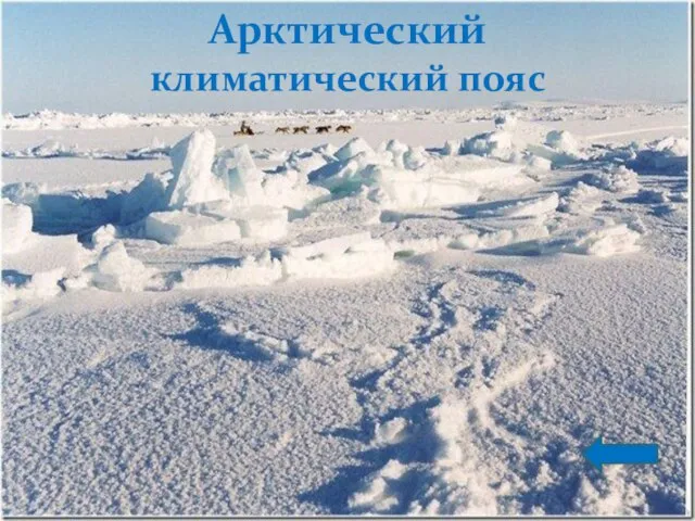 Арктический климатический пояс