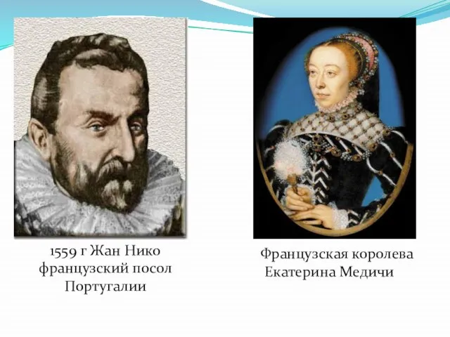 1559 г Жан Нико французский посол Португалии Французская королева Екатерина Медичи