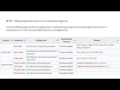 ICTV - Международный комитет по таксономии вирусов. согласно Международной классификации и номенклатуре