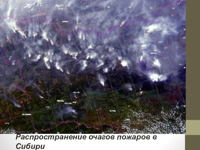 Распространение очагов пожаров в Сибири (космический снимок)