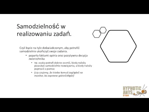 Samodzielność w realizowaniu zadań. Czyli bycie na tyle doświadczonym, aby potrafić samodzielnie