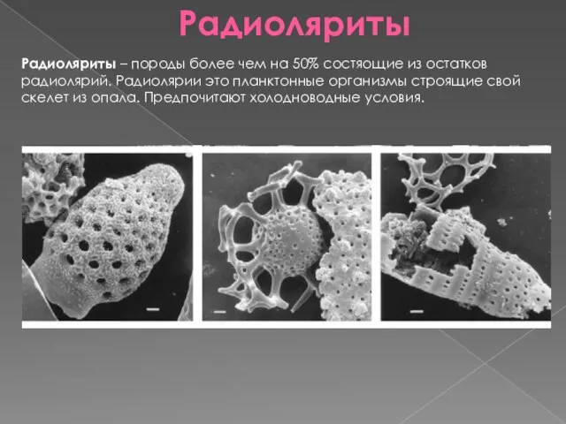 Радиоляриты Радиоляриты – породы более чем на 50% состяощие из остатков радиолярий.