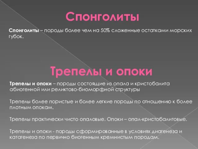 Спонголиты Спонголиты – породы более чем на 50% сложенные остатками морских губок.