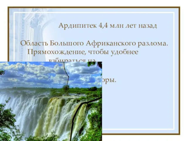 Ардипитек 4,4 млн лет назад Область Большого Африканского разлома. Прямохождение, чтобы удобнее