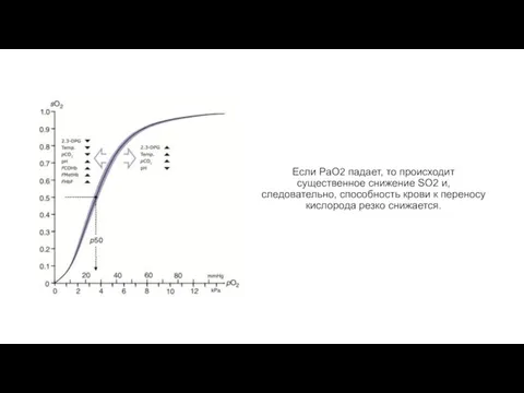 Если PaO2 падает, то происходит существенное снижение SO2 и, следовательно, способность крови