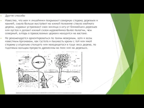 Другие способы Известно, что мхи и лишайники покрывают северную сторону деревьев и