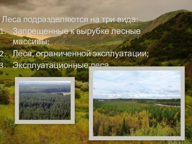Леса подразделяются на три вида: Запрещенные к вырубке лесные массивы; Леса, ограниченной эксплуатации; Эксплуатационные леса.