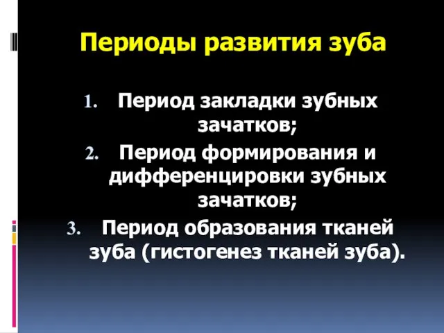 Периоды развития зуба Период закладки зубных зачатков; Период формирования и дифференцировки зубных