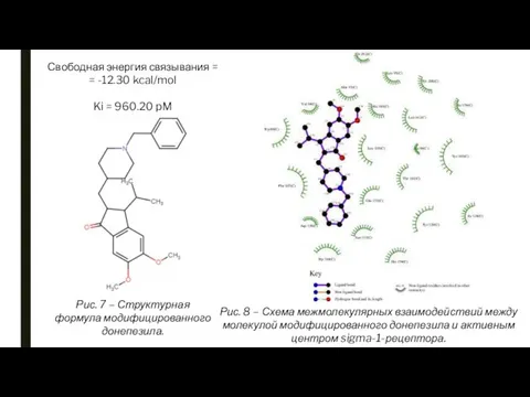 Рис. 7 – Структурная формула модифицированного донепезила. Рис. 8 – Схема межмолекулярных