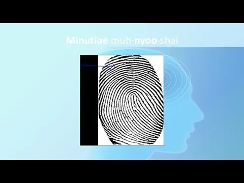 Minutiae muh·nyoo·shai