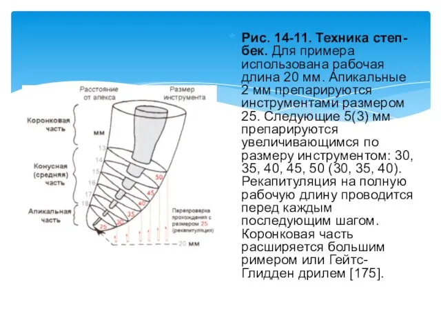 Рис. 14-11. Техника степ-бек. Для примера использова­на рабочая длина 20 мм. Апикальные