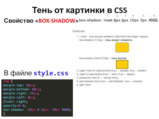Тень от картинки в CSS В файле style.css Свойство «BOX-SHADOW»