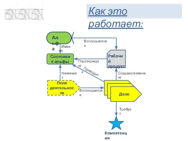 Поле деятельности Компетенция Дело Состояние альфы Рабочий продукт Имеет Требует Создает/изменяет Подтверждает