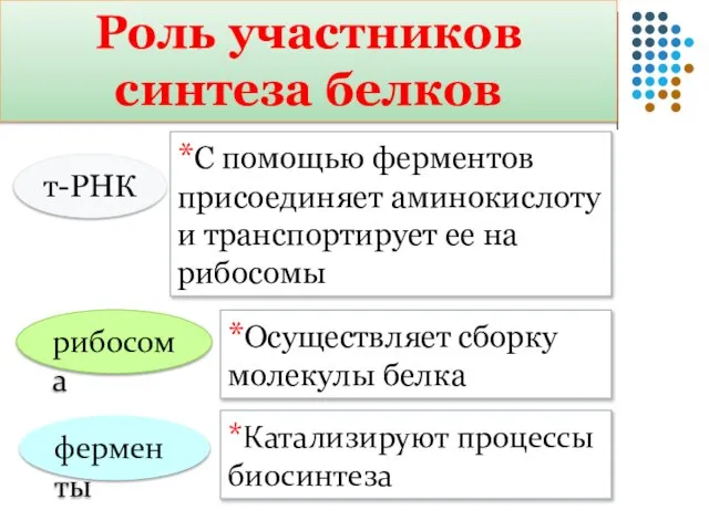 т-РНК *С помощью ферментов присоединяет аминокислоту и транспортирует ее на рибосомы рибосома