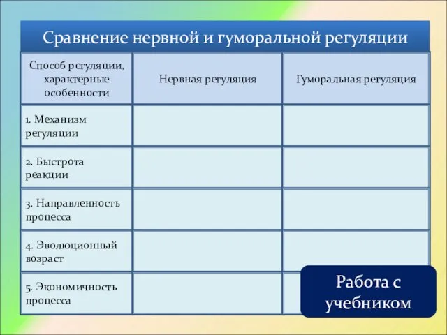 Сравнение нервной и гуморальной регуляции Способ регуляции, характерные особенности Нервная регуляция Гуморальная