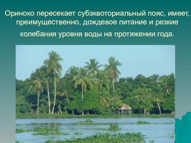 Ориноко пересекает субэквоториальный пояс, имеет, преимущественно, дождевое питание и резкие колебания уровня воды на протяжении года.