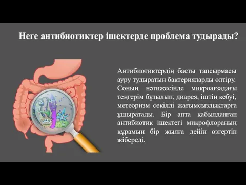 Неге антибиотиктер ішектерде проблема тудырады? Антибиотиктердің басты тапсырмасы ауру тудыратын бактерияларды өлтіру.