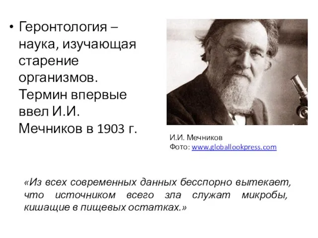 Геронтология – наука, изучающая старение организмов. Термин впервые ввел И.И. Мечников в