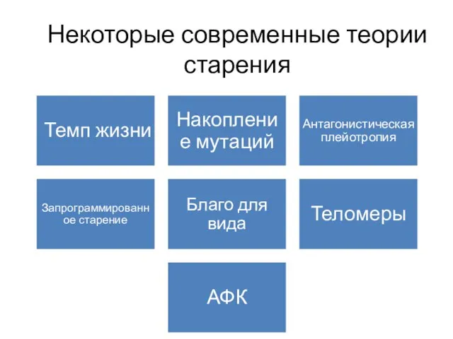 Некоторые современные теории старения