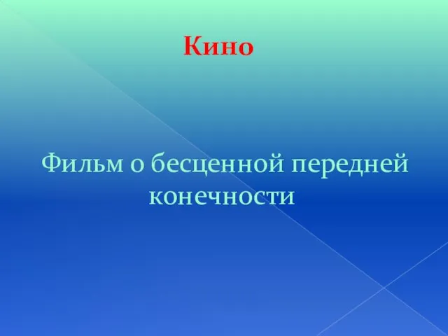 Кино Фильм о бесценной передней конечности