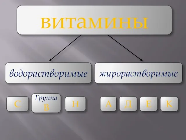 витамины водорастворимые жирорастворимые С Группа В Н А Д Е К