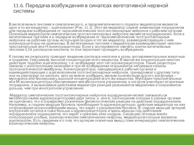 11.6. Передача возбуждения в синапсах вегетативной нервной системы В вегетативных ганглиях и