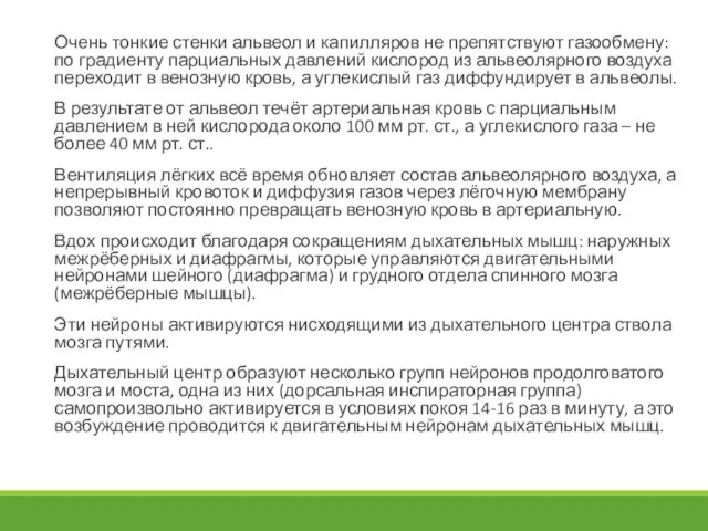 Очень тонкие стенки альвеол и капилляров не препятствуют газообмену: по градиенту парциальных