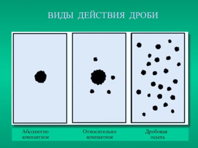 ВИДЫ ДЕЙСТВИЯ ДРОБИ Абсолютно Относительно Дробовая компактное компактное осыпь