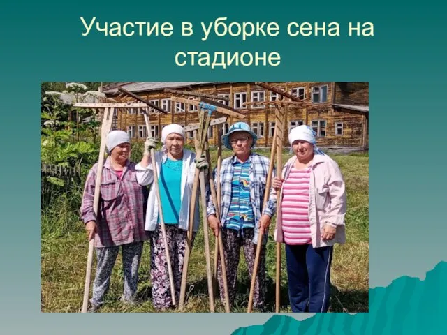 Участие в уборке сена на стадионе