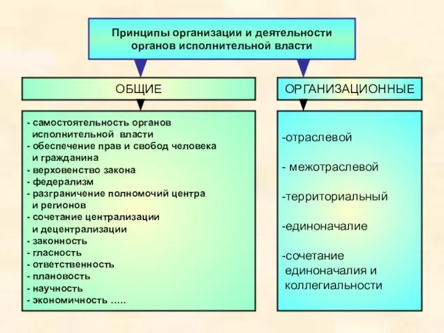 Принципы организации и деятельности органов исполнительной власти ОБЩИЕ ОРГАНИЗАЦИОННЫЕ - самостоятельность органов