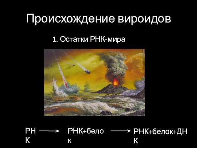 Происхождение вироидов 1. Остатки РНК-мира РНК РНК+белок РНК+белок+ДНК