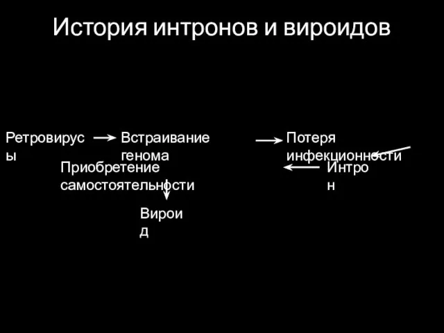 История интронов и вироидов Ретровирусы Встраивание генома Потеря инфекционности Интрон Приобретение самостоятельности Вироид