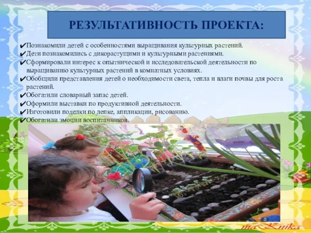 РЕЗУЛЬТАТИВНОСТЬ ПРОЕКТА: Познакомили детей с особенностями выращивания культурных растений. Дети познакомились с