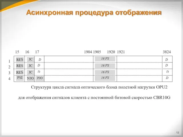 Асинхронная процедура отображения Структура цикла сигнала оптического блока полезной нагрузки OРU2 для