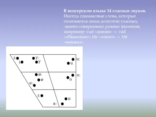 В венгерском языке 14 гласных звуков. Иногда одинаковые слова, которые отличаются лишь