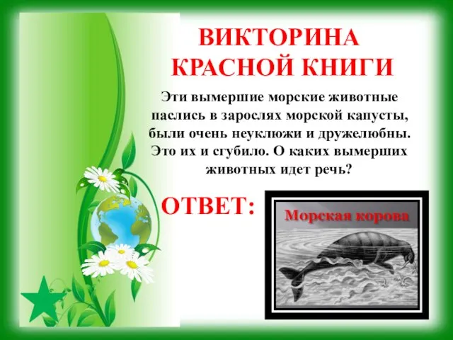 ВИКТОРИНА КРАСНОЙ КНИГИ ОТВЕТ: Эти вымершие морские животные паслись в зарослях морской