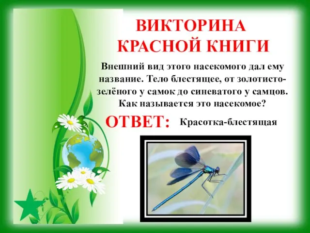 ВИКТОРИНА КРАСНОЙ КНИГИ ОТВЕТ: Внешний вид этого насекомого дал ему название. Тело