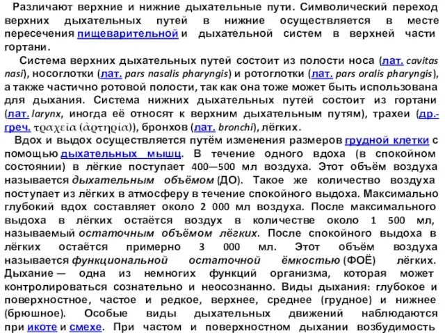 Дыхательные пути. Различают верхние и нижние дыхательные пути. Символический переход верхних дыхательных