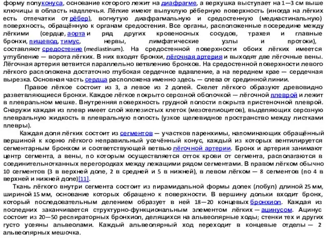 Лёгкие у человека — парный орган дыхания. Лёгкие расположены в грудной полости,