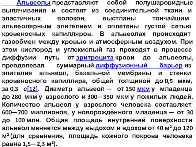 Альвеолы представляют собой полушаровидные выпячивания и состоят из соединительной ткани и эластичных