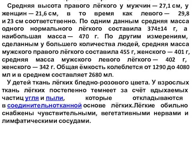 Компьютерная томограмма лёгких человека. Средняя высота правого лёгкого у мужчин — 27,1