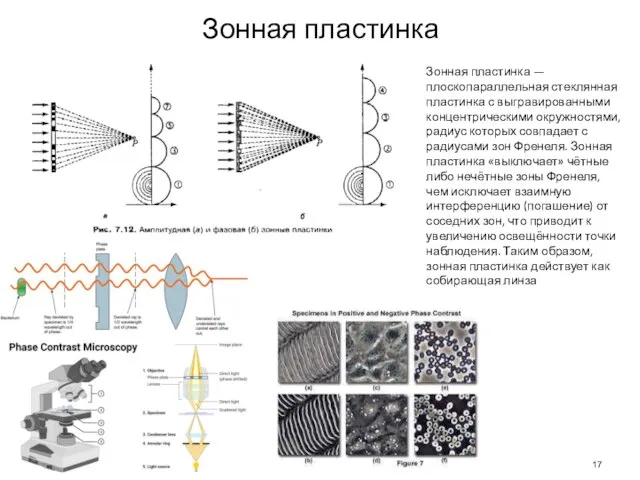 Зонная пластинка Зонная пластинка — плоскопараллельная стеклянная пластинка с выгравированными концентрическими окружностями,