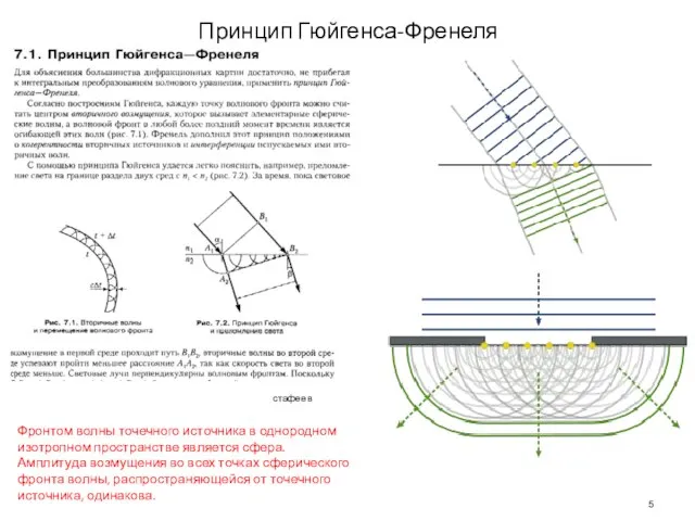 Принцип Гюйгенса-Френеля Фронтом волны точечного источника в однородном изотропном пространстве является сфера.