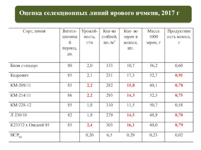 Оценка селекционных линий ярового ячменя, 2017 г