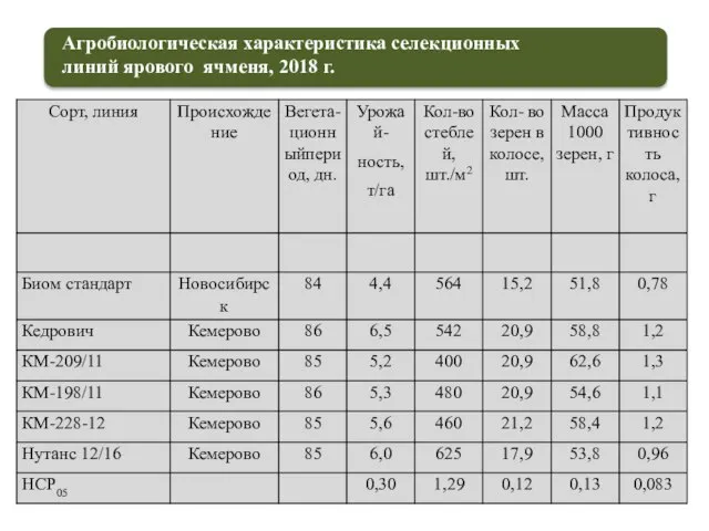 Агробиологическая характеристика селекционных линий ярового ячменя, 2018 г.