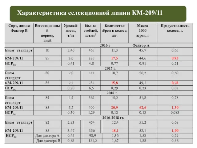 Характеристика селекционной линии КМ-209/11