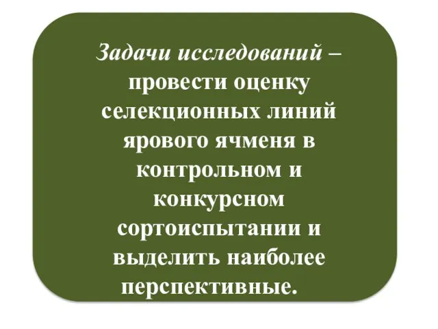 Задачи исследований – провести оценку селекционных линий ярового ячменя в контрольном и