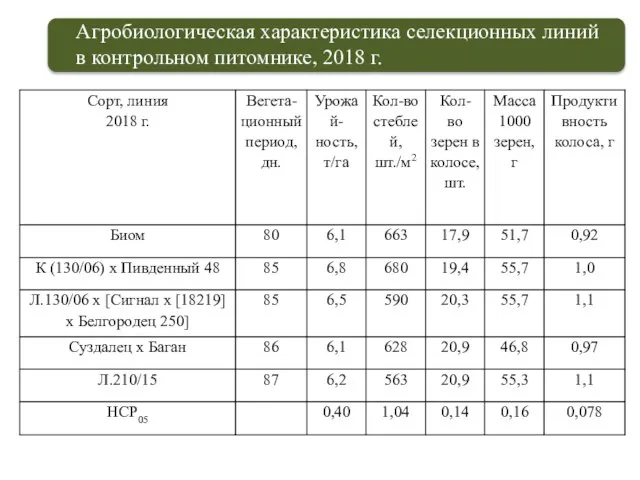 Агробиологическая характеристика селекционных линий в контрольном питомнике, 2018 г.