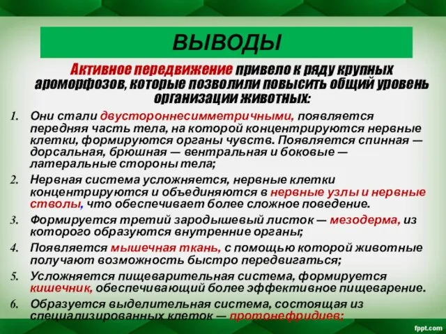 ВЫВОДЫ Активное передвижение привело к ряду крупных ароморфозов, которые позволили повысить общий